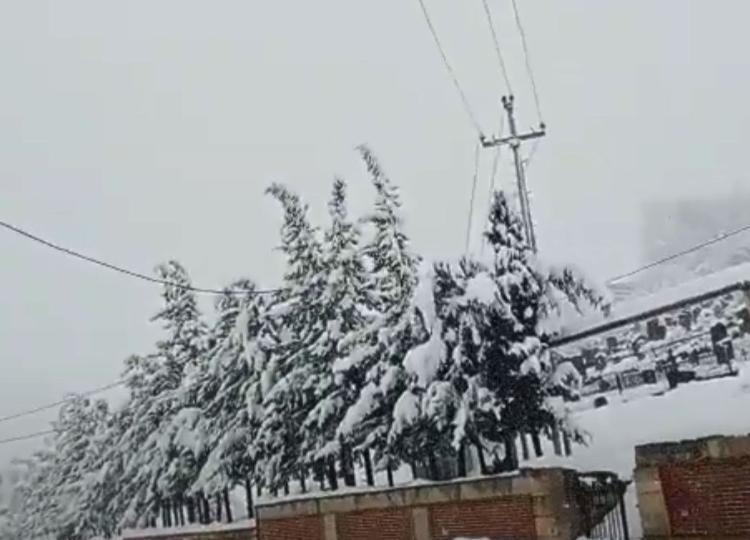 Cəlilabad rayonunda güclü qar səbəbindən elektrik naqillərində yaranan problem aradan qaldırılıb - VİDEO