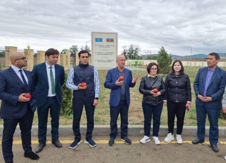 Алматинский апорт теперь будет расти в Азербайджане - ФОТО