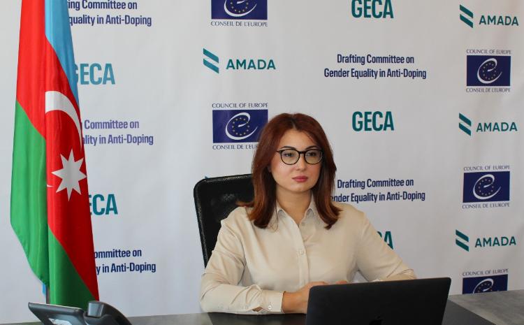 Азербайджан председательствовал на заседании Специального комитета Совета Европы по гендерному равенству 