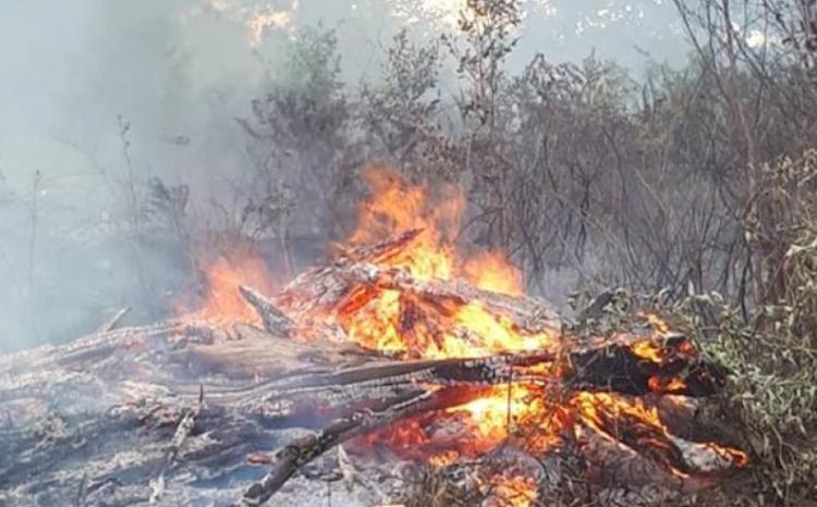 Ovçuluq Təsərrüfatında  yanğın hadisəsi baş verib 