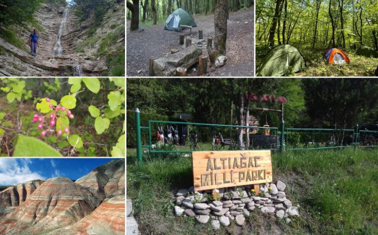 31 avqust - Altıağac Milli Parkının yaranması günüdür 