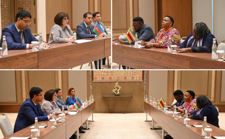 Председатель Милли Меджлиса Сагиба Гафарова встретилась с председателем Сената Зимбабве 