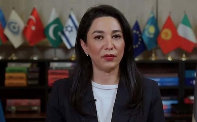 Statement of the Commissioner for Human Rights (Ombudsman) of the Republic of Azerbaijan concerning the large-scale provocation of the armed forces of Armenia in the directions of Dashkesen, Kalbajar and Lachin 