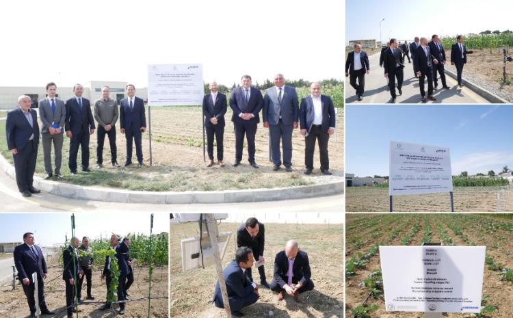 İsrail şirkətlərinin nümayəndələri Tərəvəzçilik Elmi-Tədqiqat İnstitutunun fəaliyyəti ilə tanış olublar 