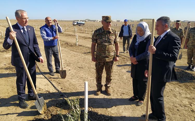 A tree-planting campaign was held on the occasion of the Remembrance Day 