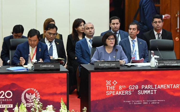 Sahiba Gafarova Speaks of Modern Global Challenges at P20 8th Summit 