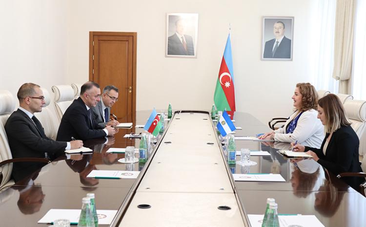 Обсуждены новые перспективы развития и укрепления азербайджано-аргентинского сотрудничества в сфере фарминдустрии 