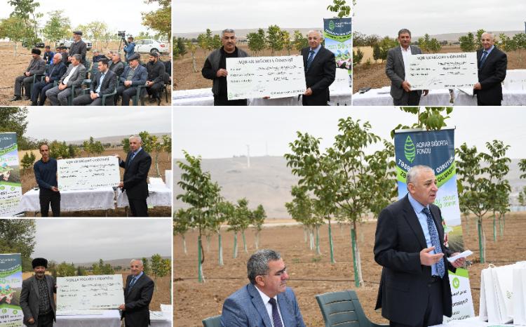 Aqrar Sığorta Fondu fermerlərə zərər ödənişlərini davam etdirir 
