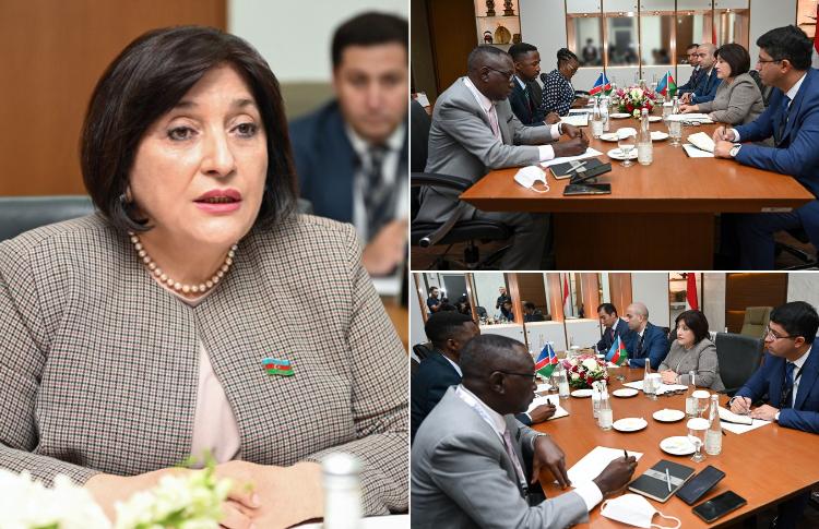 Председатель Милли Меджлиса Сагиба Гафарова встретилась в Джакарте с председателем Национального совета Намибии 