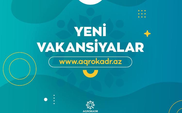 Kənd Təsərrüfatı Nazirliyi 80-dən çox vakant yer üzrə işə qəbul elan edib 