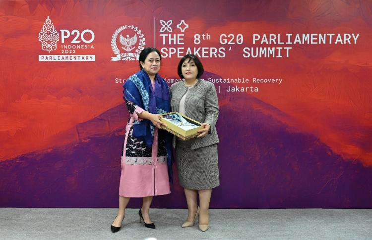 Chair of Milli Majlis Sahiba Gafarova Held Meetings at the 8th P20 Summit 
