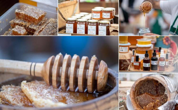 Bu il Bal yarmarkasında 90 tona yaxın arıçılıq məhsulu satılıb 