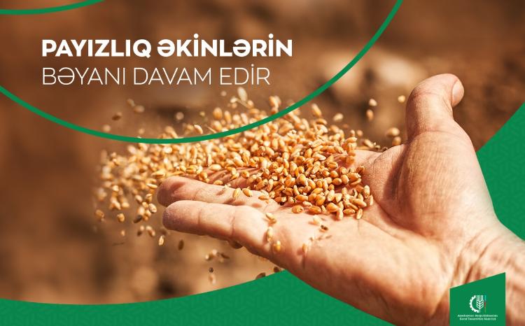 Payızlıq əkinlərin Elektron Kənd Təsərrüfatı İnformasiya Sistemində bəyanı davam edir 
