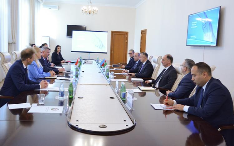 В Минздраве Азербайджана состоялась встреча с представителями ведущих венгерских фармацевтических компаний 