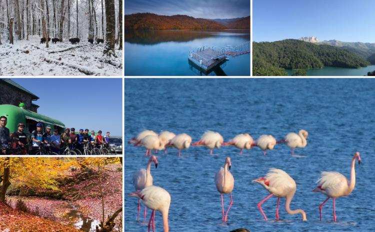 Milli parklara səfər edən turistlərin sayı ilbəil artır 