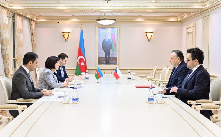 Председатель Милли Меджлиса Сагиба Гафарова встретилась с послом Чехии в Азербайджане 