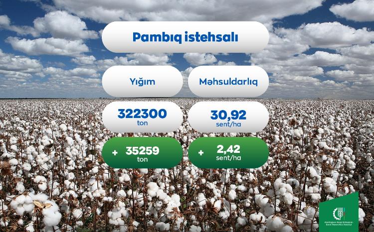 2022-ci il mövsümündə sahələrdən 322300 ton pambıq yığılıb 