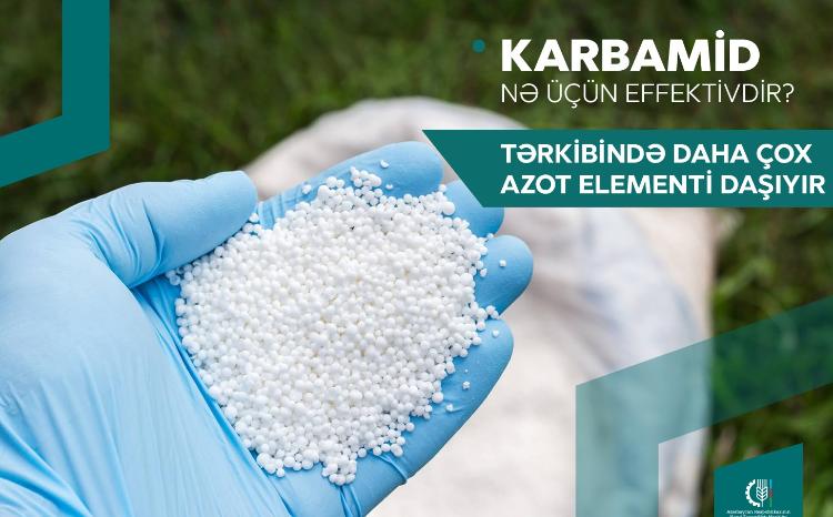 Karbamid gübrəsini necə düzgün istifadə etməli? - FERMERLƏRƏ TÖVSİYƏ 