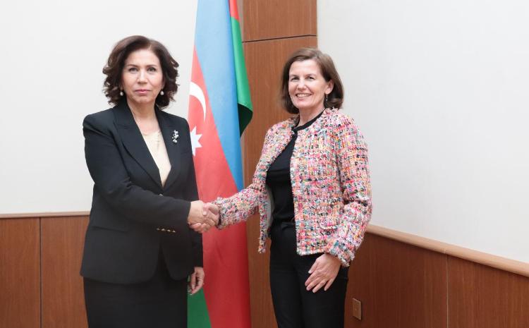 Dövlət Komitəsinin sədri Fransanın Azərbaycana yeni təyin olunmuş səfiri Ann Buayon ilə görüşüb 