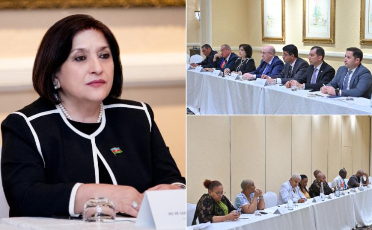 Сагиба Гафарова встретилась с председателем Национальной Ассамблеи ЮАР 