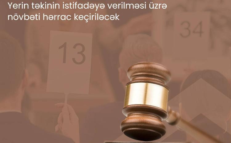 Yeddi faydalı qazıntı yatağı hərraca çıxarılır 