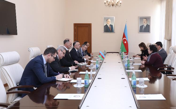В Министерстве здравоохранения Азербайджана состоялась встреча с известным израильским нейрохирургом 