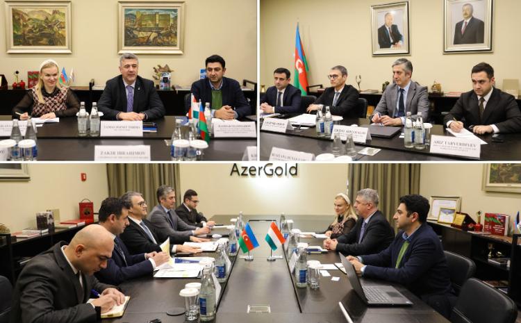 Председатель ЗАО «AzerGold» встретился с послом Венгрии в Азербайджане 