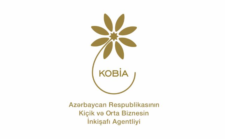 Biznesdə və özünüməşğulluqda qadınların rolu artır 