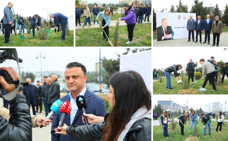"Hərəyə bir ağac əkək" adlı ağacəkmə aksiyası keçirilib 