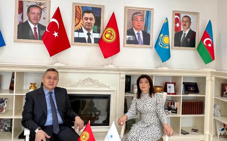 Gunay Afandiyeva met with Taalatbek Masadykov, Special Representative of the President of the Kyrgyz Republic 
