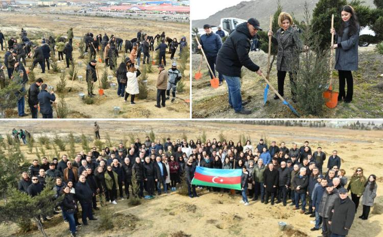 Ulu Öndər Heydər Əliyevin 100 illiyinə həsr olunan ağacəkmə aksiyası 