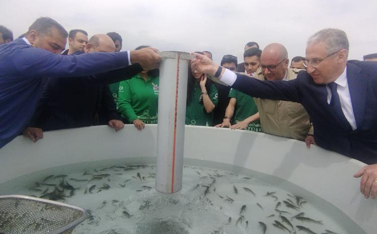 Ağdam rayonunda Xaçınçay su anbarına balıq körpələri buraxılıb 
