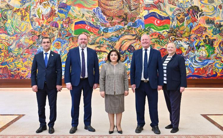 Глава Милли Меджлиса Сагиба Гафарова встретилась с руководителем группы дружбы с Азербайджаном в британском парламенте Бобом Блэкмэном 