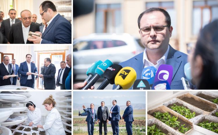 Azərbaycanda 2023-cü il baramaçılıq mövsümünə start verilib 