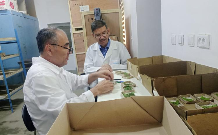 AMEA Şəki Regional Elmi Mərkəzinin əməkdaşı Özbəkistanın İpəkçilik İnstitutunda elmi ezamiyyətdə olub 