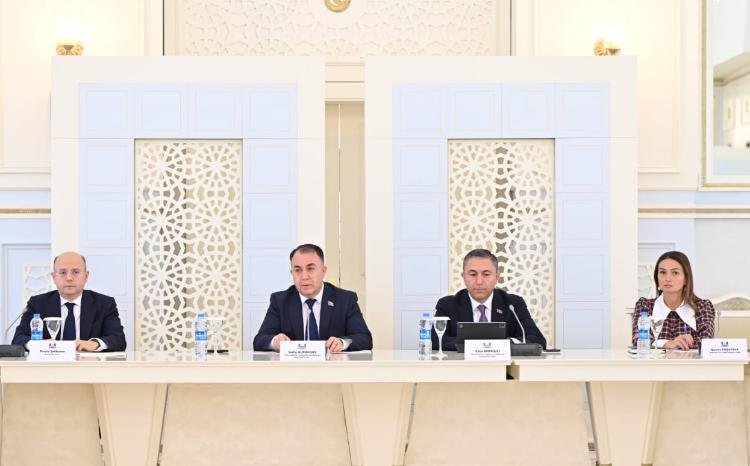 Təbii ehtiyatlar, energetika və ekologiya komitəsinin iclasında 