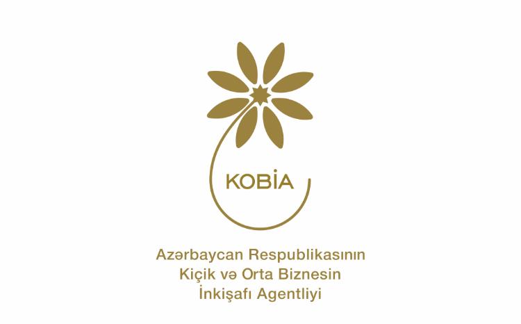 Yanvar-mart aylarında mindən çox KOB subyekti və biznesə başlamaq istəyən şəxsə təlim və məsləhət xidməti göstərilib 
