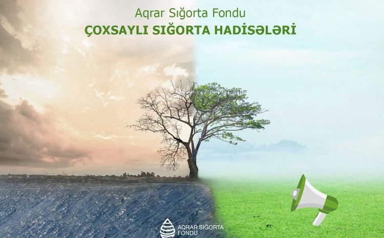Aqrar Sığorta Fondu: Fermer təsərrüfatlarına dəymiş zərər müəyyənləşdirilir 