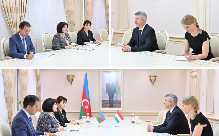 Спикер Милли Меджлиса Сагиба Гафарова приняла посла Венгрии в Азербайджане 