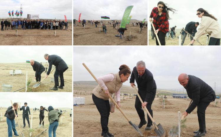 A tree-planting event was held in commemoration of the 100th anniversary of National Leader Heydar Aliyev 