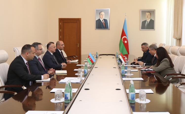 В Министерстве здравоохранения Азербайджана состоялась встреча с послом Египта 