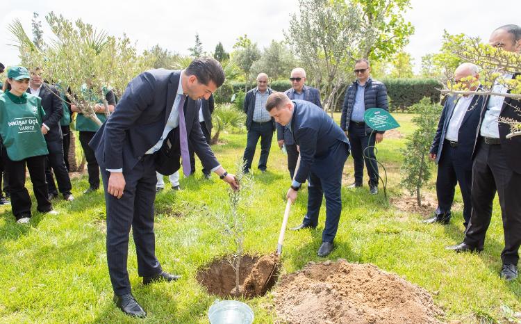 Heydər Əliyevin 100 illik yubileyinə həsr olunmuş ağacəkmə aksiyası keçirilib 