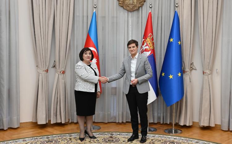 Спикер Милли Меджлиса Сагиба Гафарова встретилась с премьер-министром Сербии 