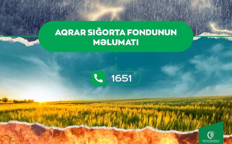 Qeyri-sabit hava şəraitinin təsərrüfatlara vurduğu zərərlə bağlı Aqrar Sığorta Fonduna 92 müraciət daxil olub 
