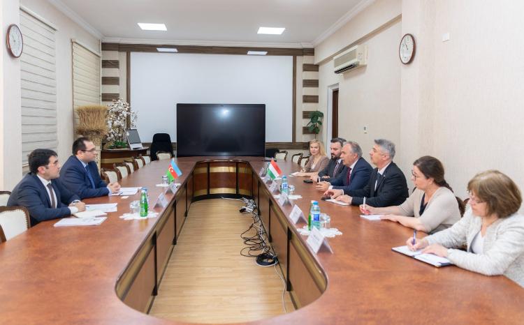 Nazir Məcnun Məmmədov Macarıstanın kənd təsərrüfatı naziri ilə görüşüb 