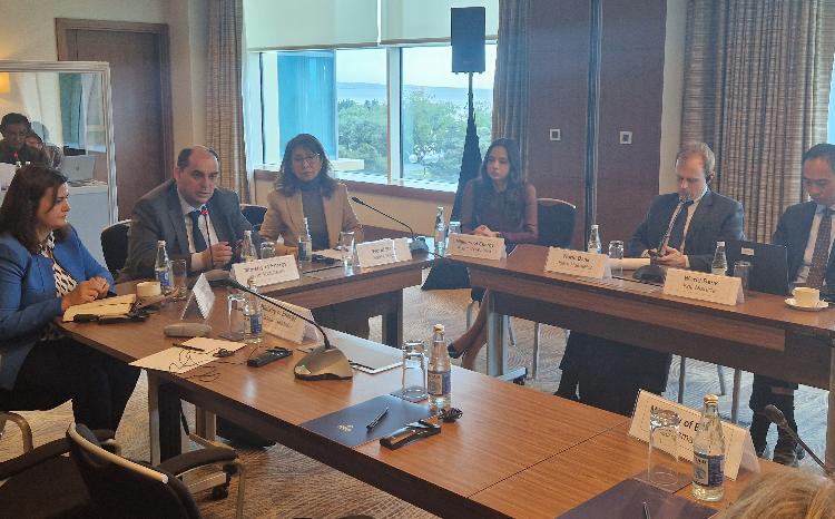 Şəbəkədə bərpa olunan enerjinin payının artırılmasına texniki yardım layihəsi üzrə işlərə başlanması ilə bağlı ilk görüş keçirilib 