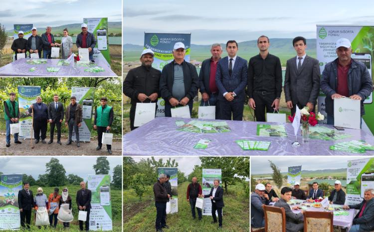 14 May Ümumdünya Fermerlər günü münasibətilə Aqrar Sığorta Fondu fermerləri təbrik edib 