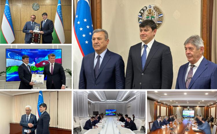 Проведены официальные встречи, касающиеся сотрудничества с Узбекистаном в области диаспоры 