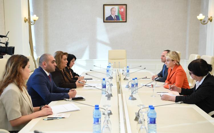 Milli Məclisdə Gürcüstan parlamentinin deputatı ilə görüş 