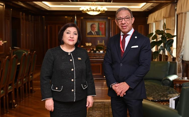 Спикер Милли Меджлиса Сагиба Гафарова встретилась с президентом Межпарламентского Союза 